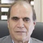 دکتر محمدحسین راسخی نژاد
