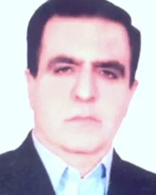 دکتر عبدالحمید محمدی